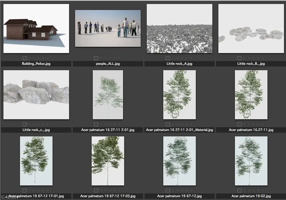 3D模型合集包（花卉、人物、树木、家具） - C4D之家 - cinema4d_ 2014-05-24 下午11.34.48.jpg