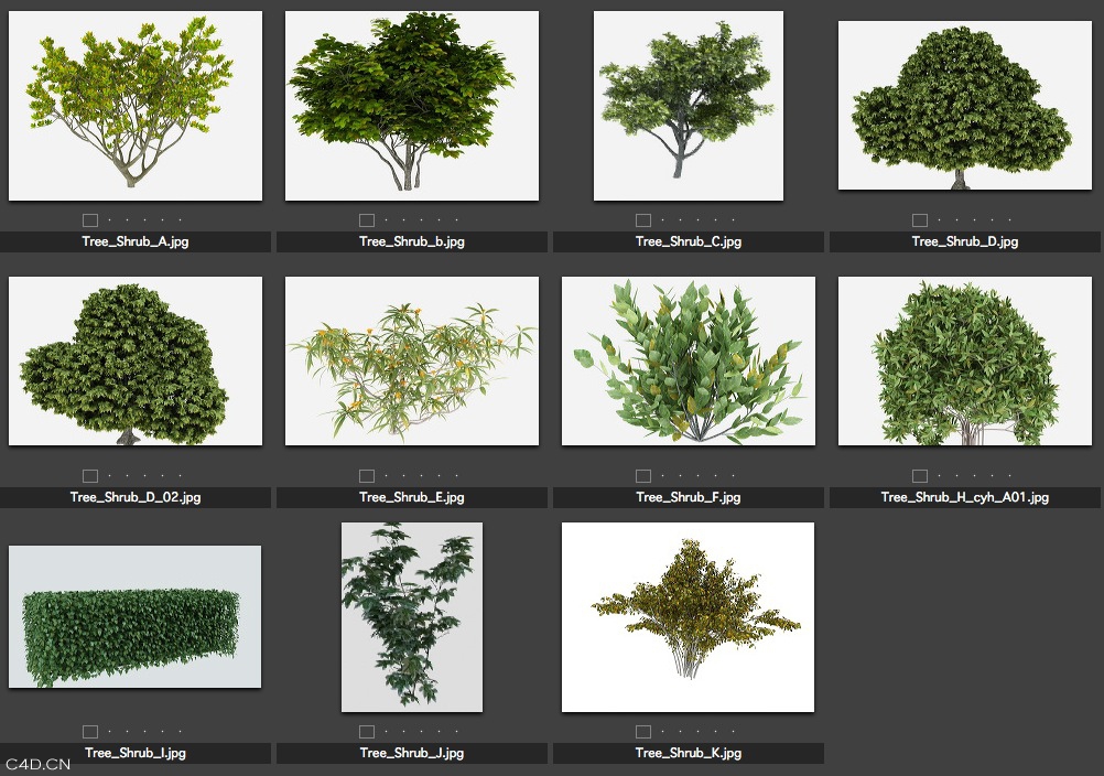 3D模型合集包（花卉、人物、树木、家具） - C4D之家 - cinema4d_ 2014-05-24 下午11.34.59.jpg