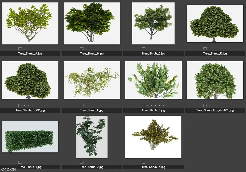 3D模型合集包（花卉、人物、树木、家具） - C4D之家 - cinema4d_ 2014-05-24 下午11.34.59.jpg