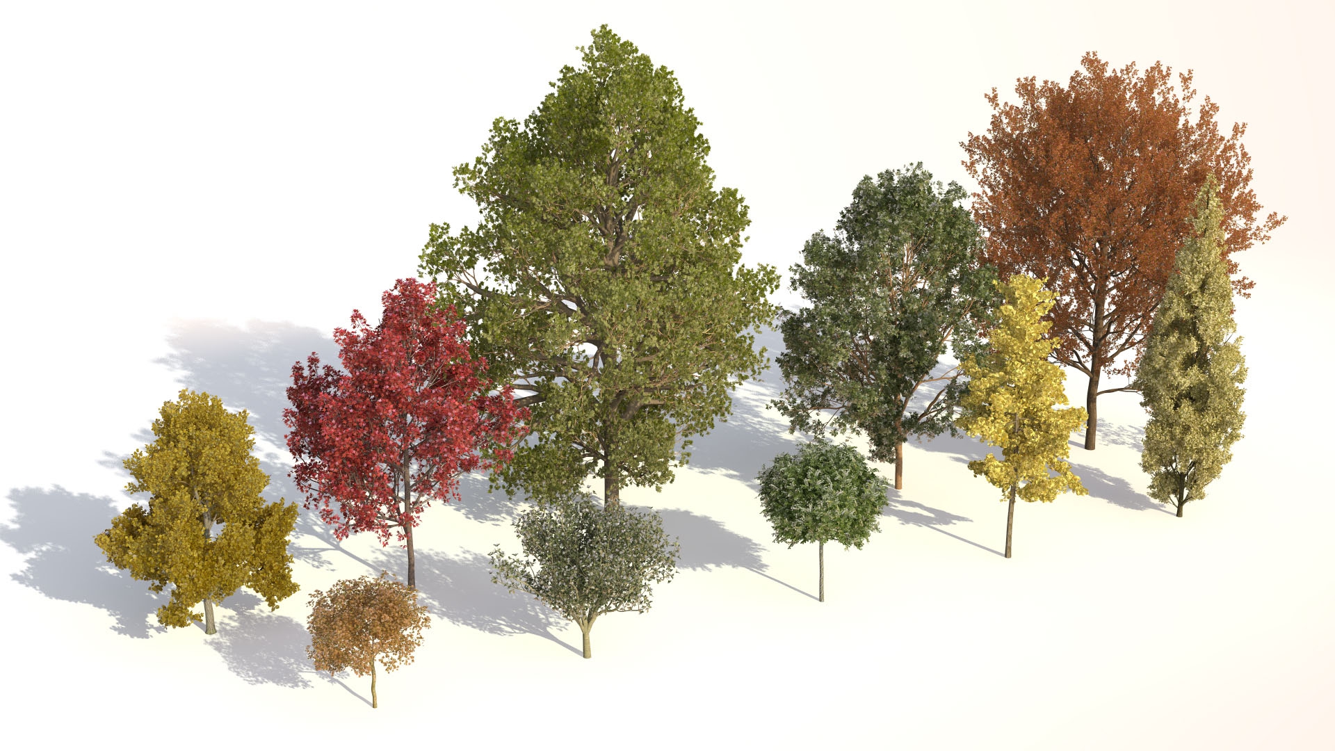 C4D/Max植物树木生成插件 Laubwerks Plants Kits 1-3 v1.08 C4D/MAX Win/Mac - C4D之家 - Laubwerk_Plants_Kit1_variations.jpg