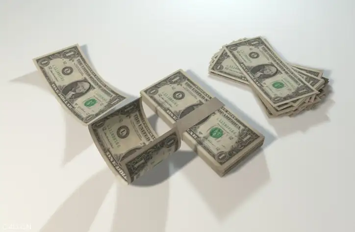 美元钞票C4D模型 Dollar Bills