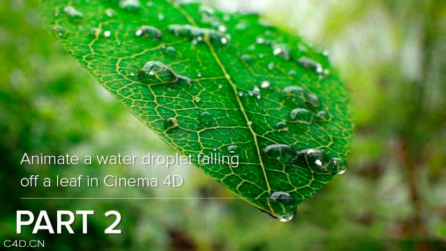 C4D+AE 物理渲染器+动力学柔体创建写实水珠树叶教程 - C4D之家 - 204722mq25qcflff5hllcc.jpg