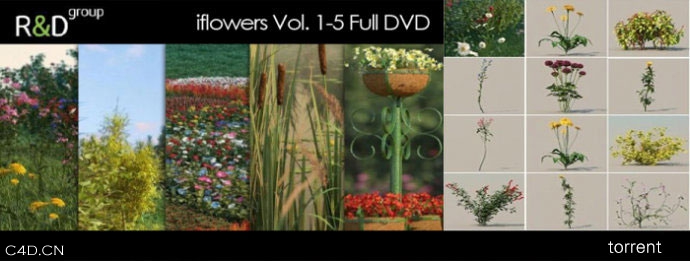 花卉模型合集 iFlowers vol.1-5（MAX） - C4D之家 - 7cf4c1b0gaf18d8970133&690.jpg