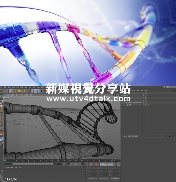 C4D原创教程-绚丽夺目的栏目包装DNA模型创建