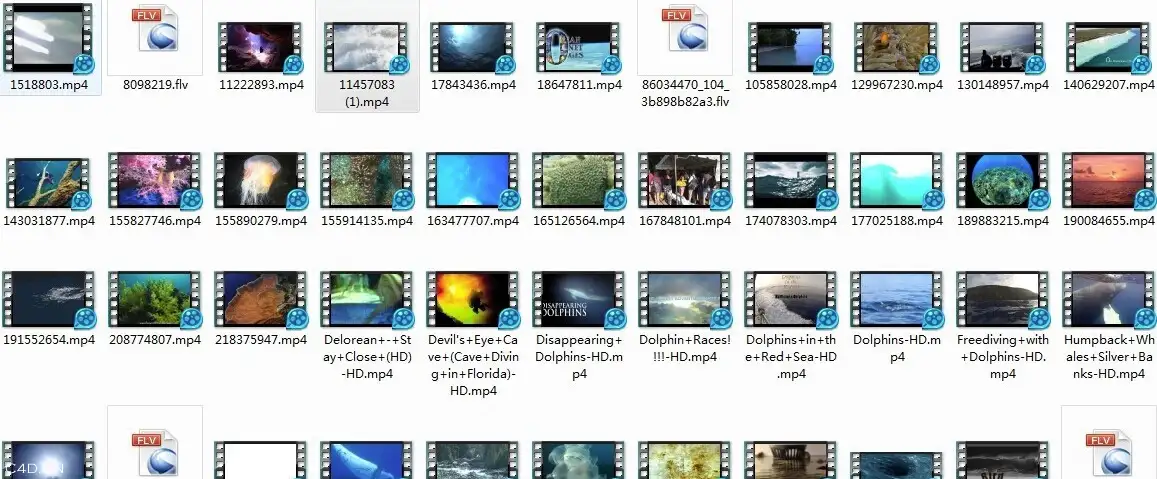 海底世界实拍高清视频素材合集（720P）