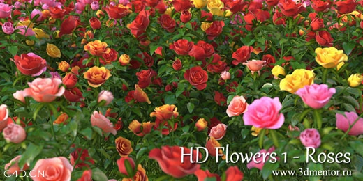 极高精度700多种各类植物模型[Vray支持]（7.09GB） - C4D之家 - f736afc379310a55cdf69721b64543a983261010.jpg