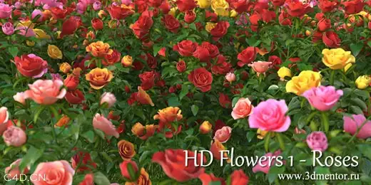 极高精度700多种各类植物模型[Vray支持]（7.09GB） - C4D之家 - f736afc379310a55cdf69721b64543a983261010.jpg