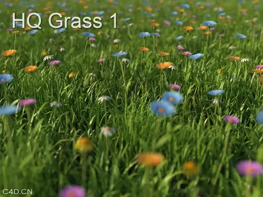 极高精度700多种各类植物模型[Vray支持]（7.09GB） - C4D之家 - a61ea8d3fd1f4134a0044dab241f95cad1c85e37.jpg
