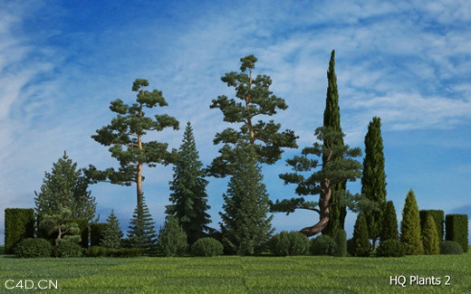 极高精度700多种各类植物模型[Vray支持]（7.09GB） - C4D之家 - fbedab64034f78f08dd9d32678310a55b2191c10.jpg