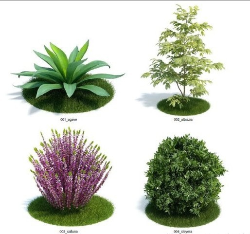 62个景观植物C4D模型合集 Evermotion Archmodels 61 - C4D之家 - 140914c22jp4p2xxaf5o2j.jpg