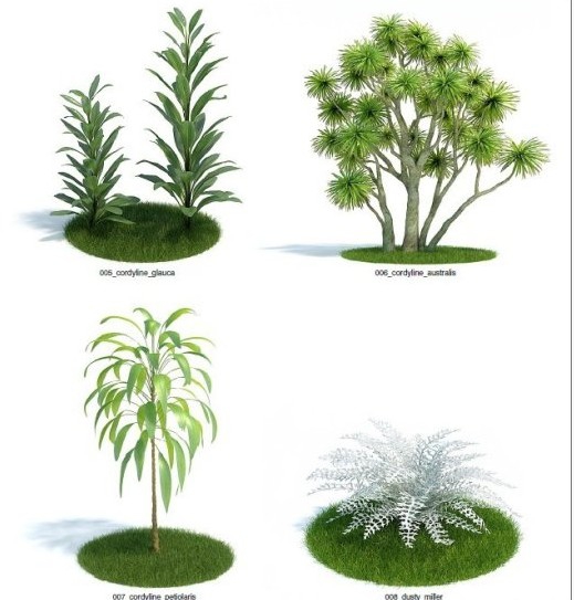 62个景观植物C4D模型合集 Evermotion Archmodels 61 - C4D之家 - 140912y373w0cncpsp0psr.jpg