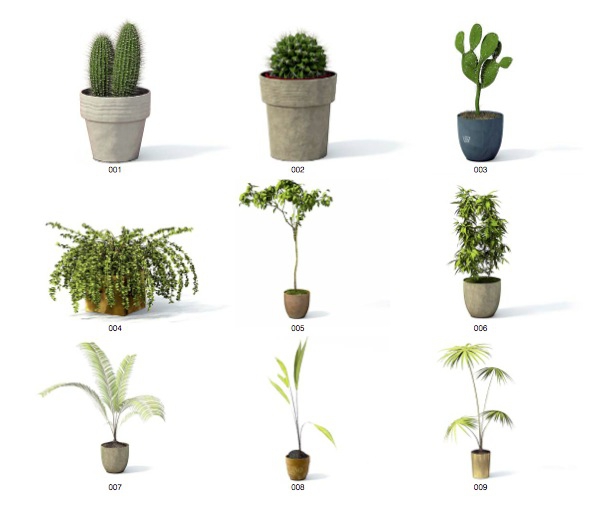 61个室内装饰花卉植物C4D模型合集（含贴图） - C4D之家 - cinema4d_ 2014-06-17 下午5.03.20.jpg