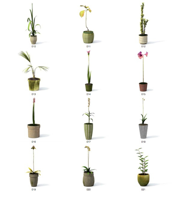 61个室内装饰花卉植物C4D模型合集（含贴图） - C4D之家 - cinema4d_ 2014-06-17 下午5.03.23.jpg