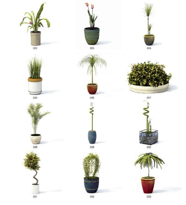 61个室内装饰花卉植物C4D模型合集（含贴图） - C4D之家 - cinema4d_ 2014-06-17 下午5.03.26.jpg