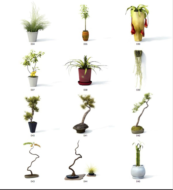 61个室内装饰花卉植物C4D模型合集（含贴图） - C4D之家 - cinema4d_ 2014-06-17 下午5.03.29.jpg