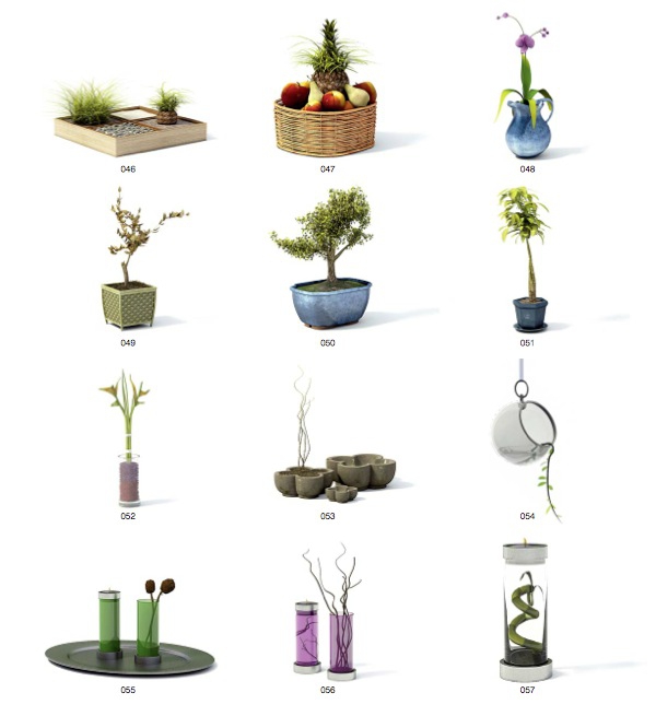61个室内装饰花卉植物C4D模型合集（含贴图） - C4D之家 - cinema4d_ 2014-06-17 下午5.03.32.jpg