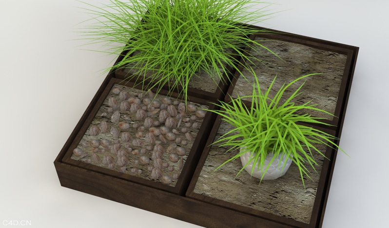 61个室内装饰花卉植物C4D模型合集（含贴图） - C4D之家 - cinema4d_ 2014-06-17 下午5.14.46.jpg