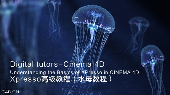 C4D Xpresso实用进阶教程&水母教程 - C4D之家 - Cfakepath11.jpg