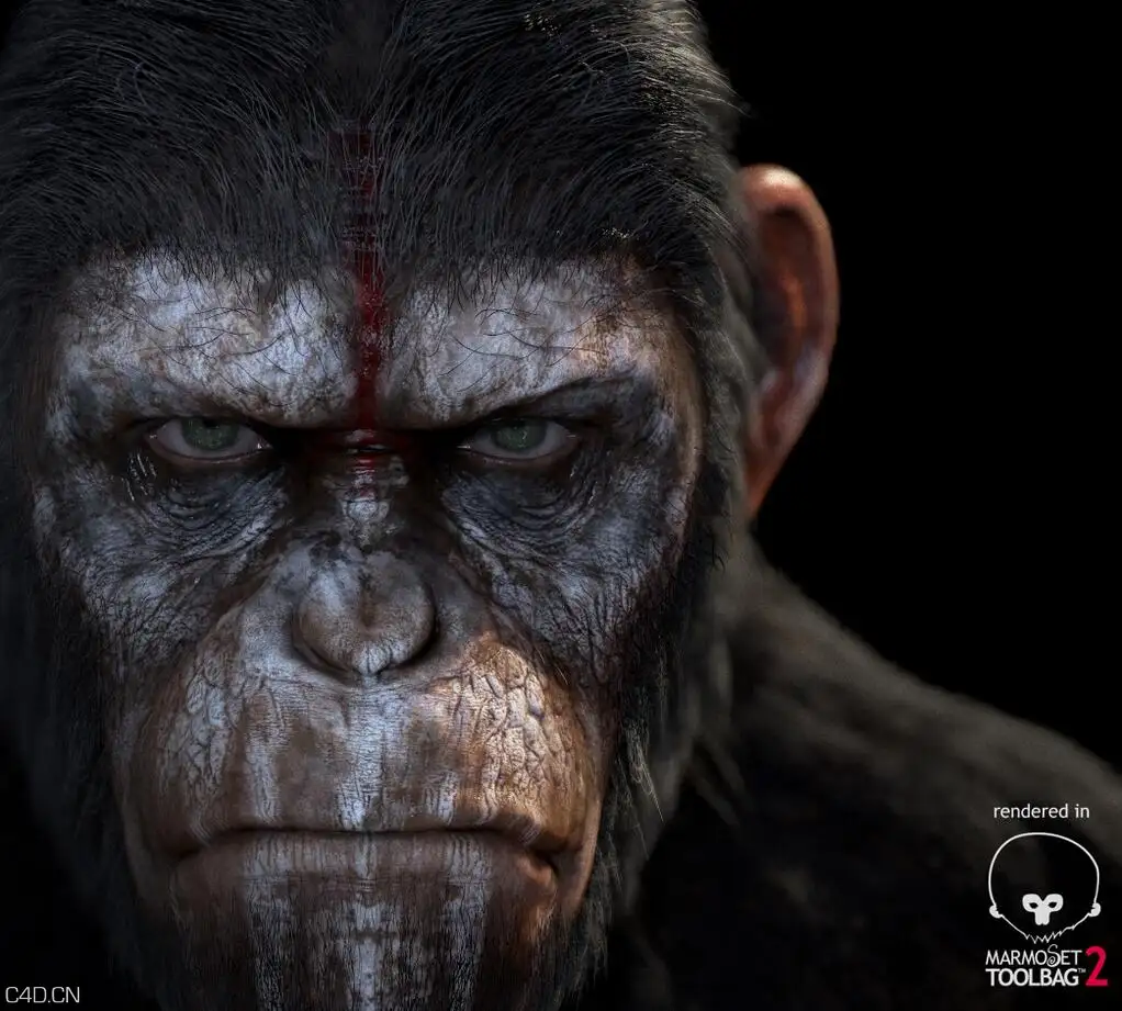 marmoset作品合集 - C4D之家 - ishikawa_ape3.jpg