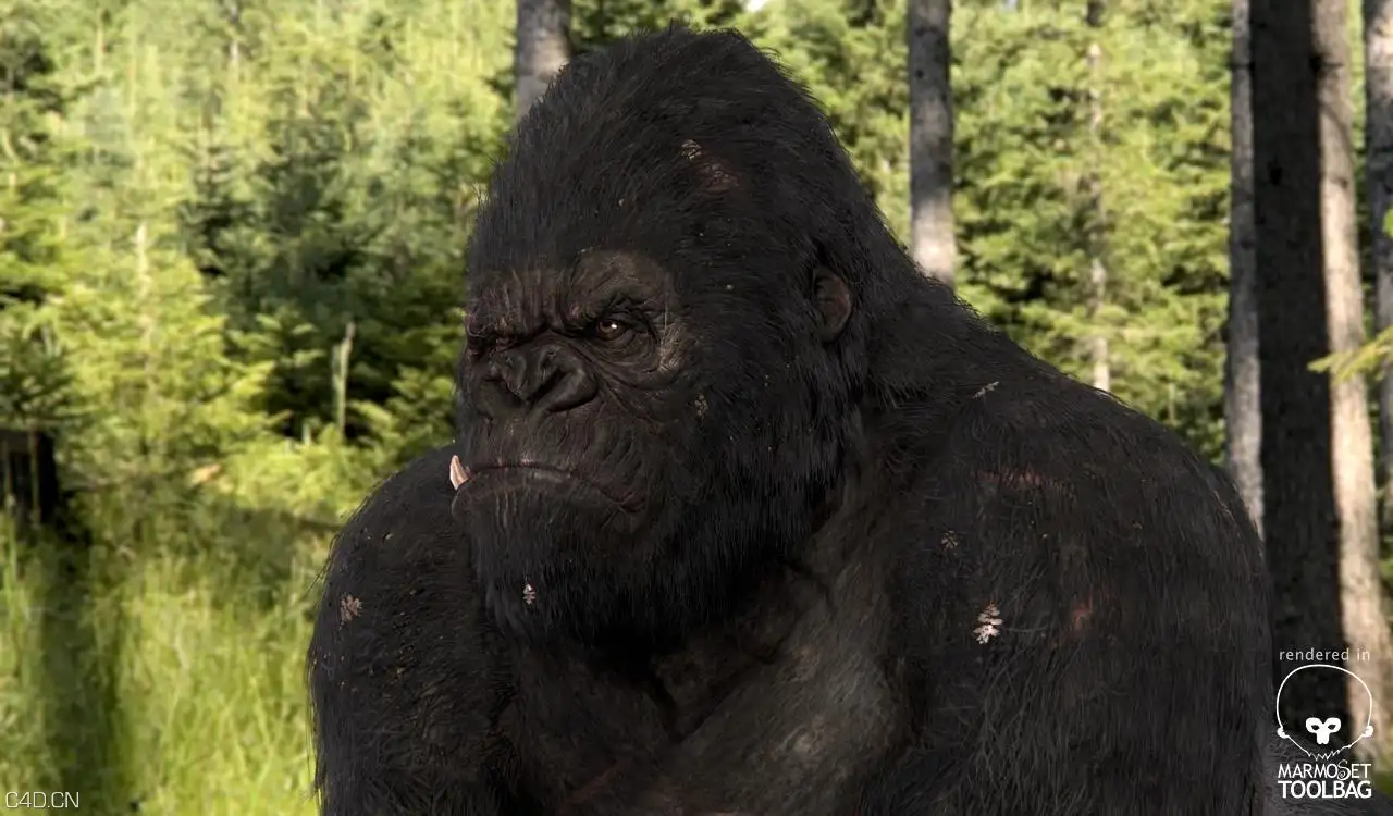 marmoset作品合集 - C4D之家 - ishikawa_kingkong.jpg