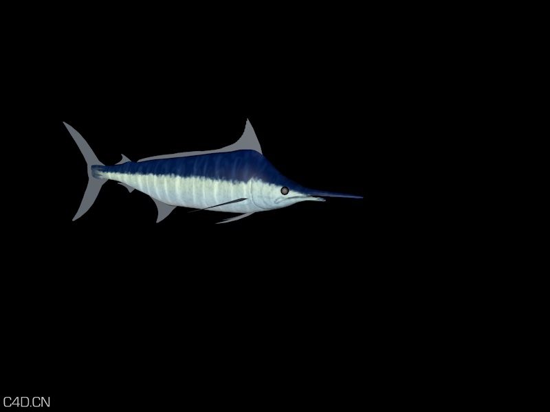 带骨骼带动画的游泳鱼 含贴图