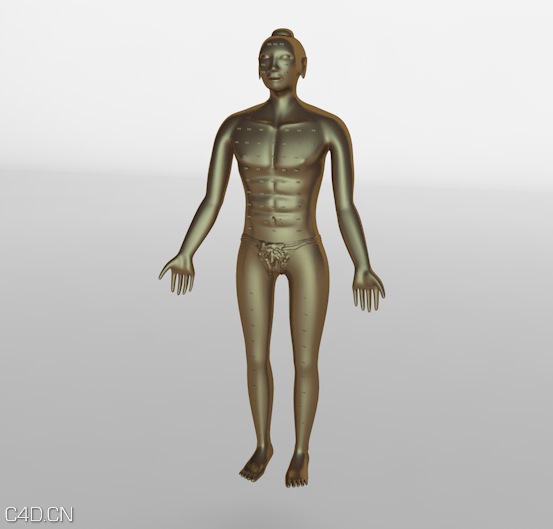 中医针炙铜人C4D模型 - C4D之家 - cinema4d_ 2014-08-18 下午9.01.32.jpg