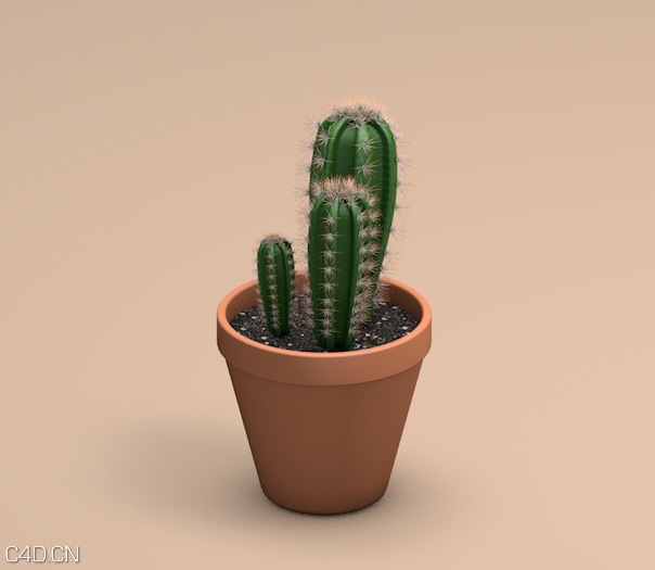 仙人球C4D模型 Cacti - C4D之家 - cinema4d_ 2014-08-21 上午10.14.59.jpg