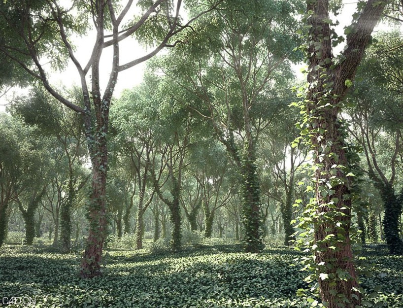 树木3D模型合集 Evermotion – Archinteriors VoL.117 - C4D之家 - cinema4d_ 2014-08-23 下午11.31.57.jpg