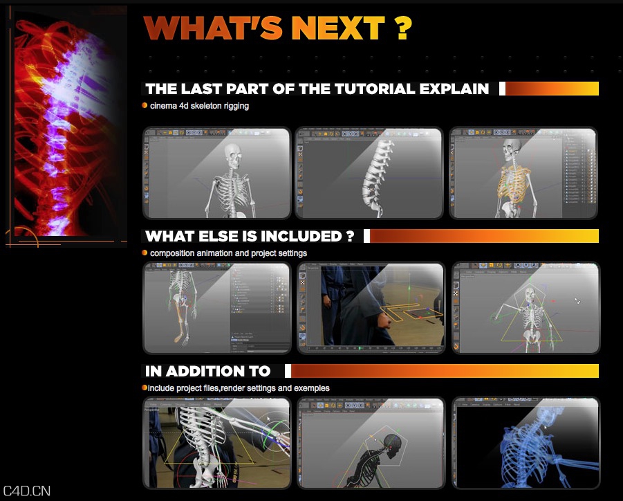 C4D骨骼透视绑定教程 Cinema4dtutorial.net – Skeleton rigging composition - C4D之家 - cinema4d_ 2014-08-28 下午9.37.24.jpg