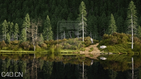 河边树林风景3D模型 Grass Hill Scene - C4D之家 - 9921c38631f2110342f80003a7bf5011.jpg