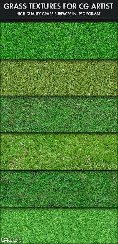 草地贴图材质合集 CG Artist Grass Textures - C4D之家 - c44e26b66596133f27ca163a6e400f27.jpg