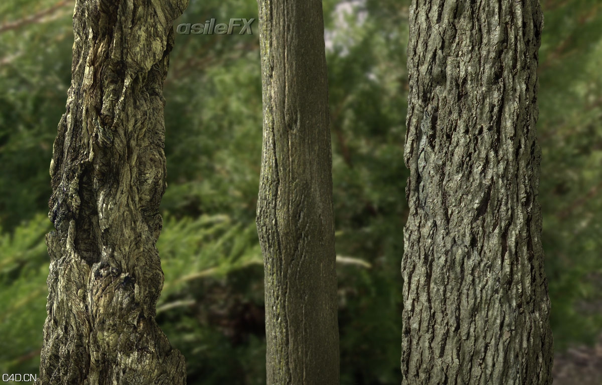 树皮材质合集 AsileFX Textures Seamless Bark - C4D之家 - example_03.jpg