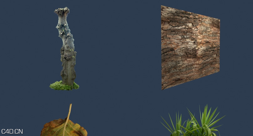树木材质贴图 3D Total: Textures V10:R2 – Trees & Plants - C4D之家 - productmain_053df.jpg