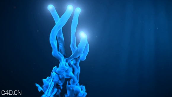 Cinema 4d TurbulenceFD实用进阶流体水墨烟雾教程 - C4D之家 - Cinema-4D-Creating-Smoke-Trails-using-UMAMI-and-TurbulenceFD-Tutorial.jpg