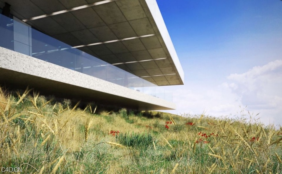 草和小植物3D模型 EVERMOTI0N: Archmodels vol.124 - C4D之家 - cinema4d_ 2014-09-05 18.09.44.jpg