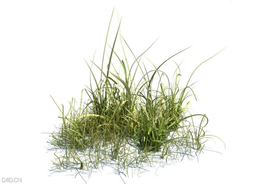 草和小植物3D模型 EVERMOTI0N: Archmodels vol.124 - C4D之家 - cinema4d_ 2014-09-05 18.09.50.jpg