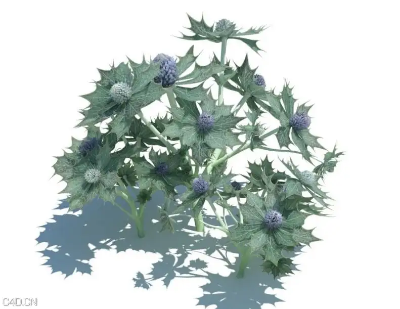 草和小植物3D模型 EVERMOTI0N: Archmodels vol.124 - C4D之家 - cinema4d_ 2014-09-05 18.09.58.jpg
