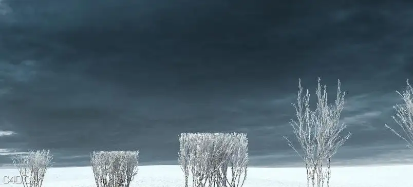 冬天的树木3D模型 iTrees vol.3 Winter - C4D之家 - cinema4d_ 2014-09-05 18.52.31.jpg
