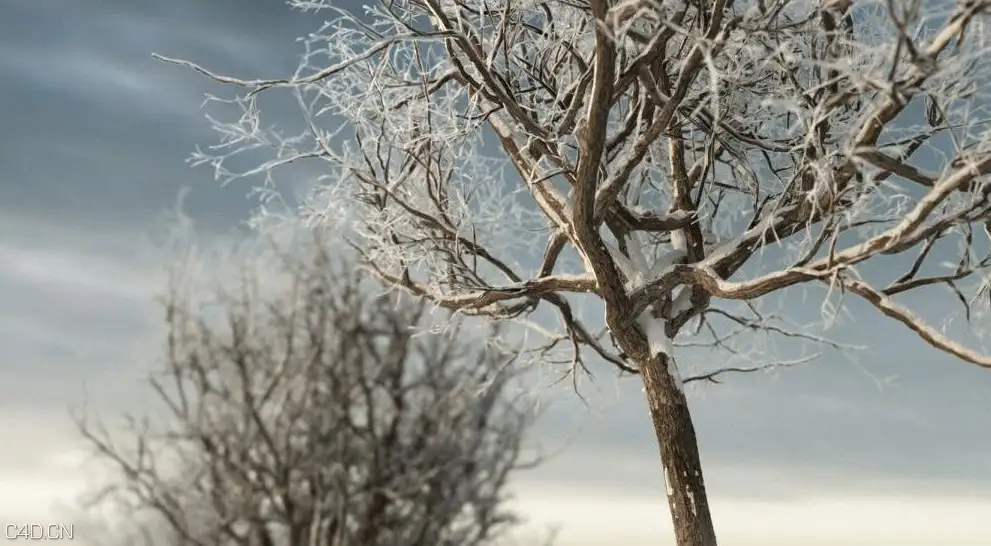 冬天的树木3D模型 iTrees vol.3 Winter - C4D之家 - cinema4d_ 2014-09-05 18.52.39.jpg