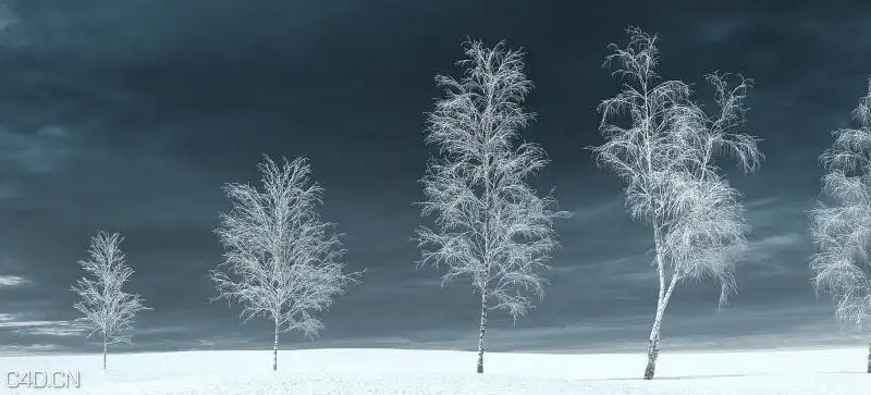 冬天的树木3D模型 iTrees vol.3 Winter - C4D之家 - cinema4d_ 2014-09-05 18.52.47.jpg