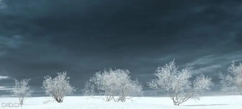 冬天的树木3D模型 iTrees vol.3 Winter - C4D之家 - cinema4d_ 2014-09-05 18.52.54.jpg