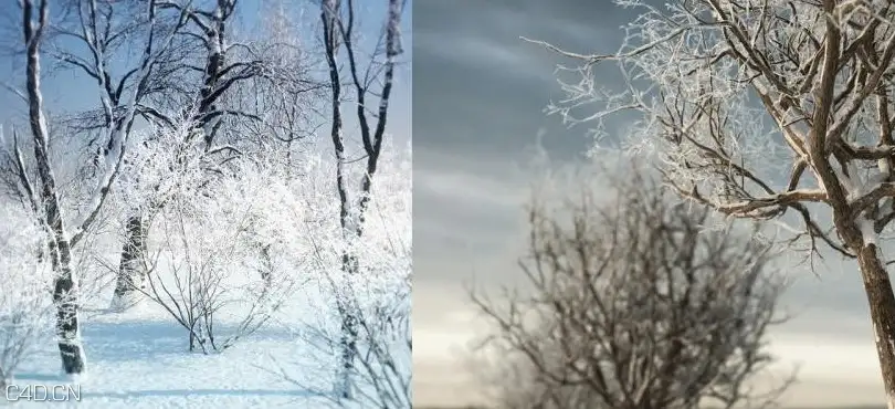 冬天的树木3D模型 iTrees vol.3 Winter - C4D之家 - cinema4d_ 2014-09-05 18.53.01.jpg