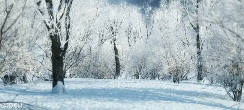 冬天的树木3D模型 iTrees vol.3 Winter - C4D之家 - cinema4d_ 2014-09-05 18.53.07.jpg