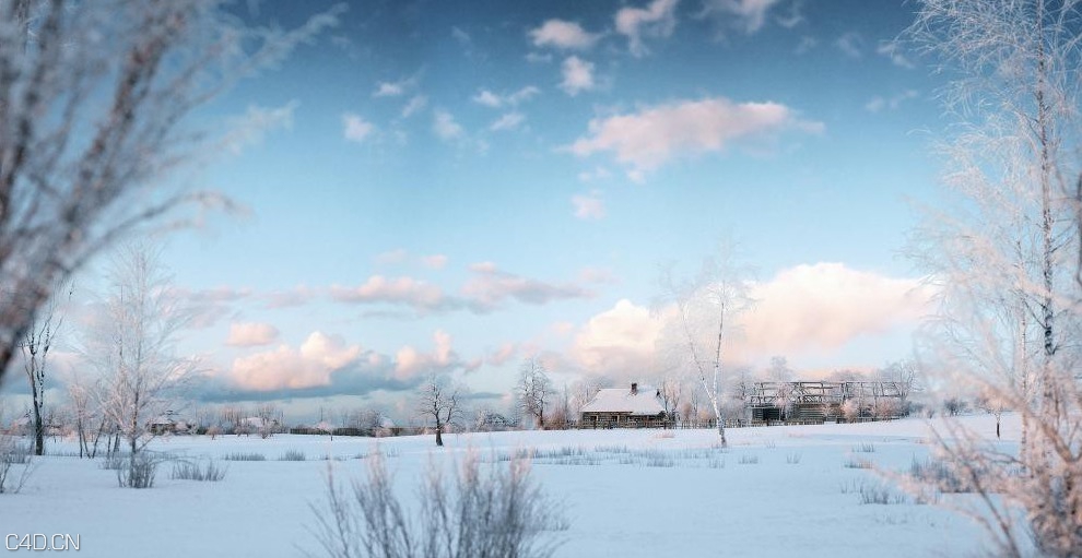 冬天的树木3D模型 iTrees vol.3 Winter - C4D之家 - cinema4d_ 2014-09-05 18.53.15.jpg