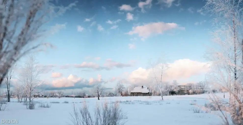 冬天的树木3D模型 iTrees vol.3 Winter - C4D之家 - cinema4d_ 2014-09-05 18.53.15.jpg