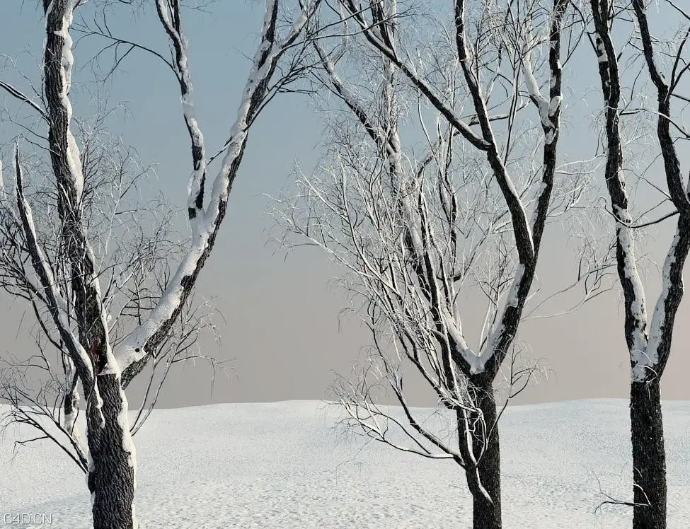 冬天的树木3D模型 iTrees vol.3 Winter - C4D之家 - cinema4d_ 2014-09-05 18.53.21.jpg