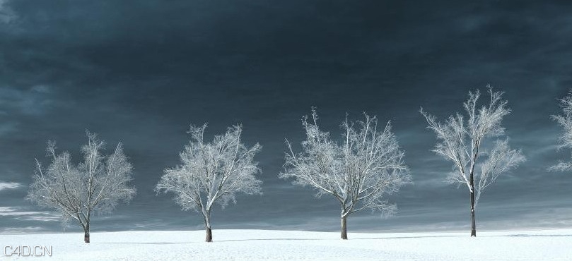 冬天的树木3D模型 iTrees vol.3 Winter - C4D之家 - cinema4d_ 2014-09-05 18.53.50.jpg