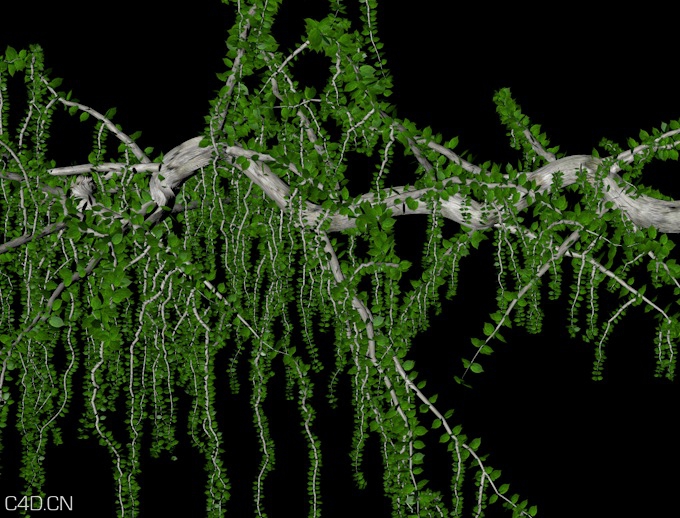 C4D藤蔓生长动画工程 C4D vines grow animation project - C4D之家 - cinema4d_ 2014-09-06 14.17.59.jpg