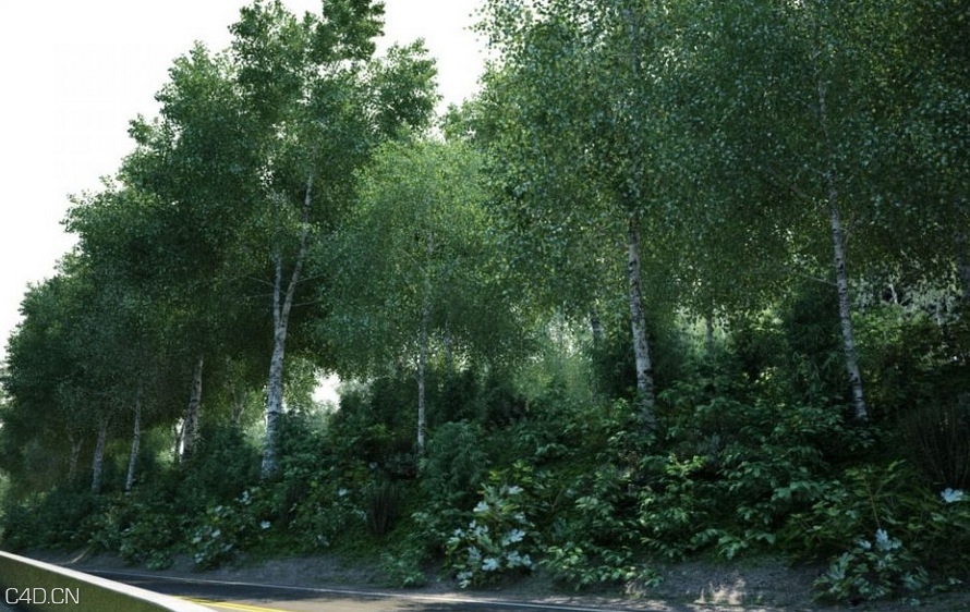 树木3D模型合集 Evermotion Archmodels Vol 106 - C4D之家 - cinema4d_ 2014-09-06 16.45.18.jpg