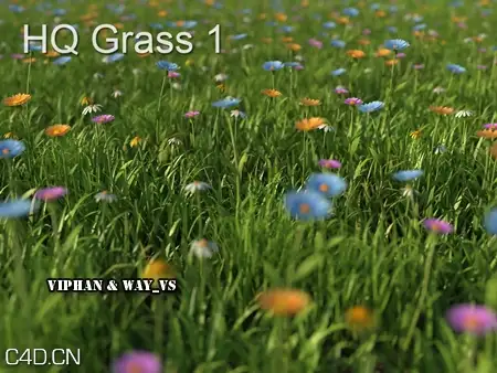 草和花3D模型 Mentor Plants HQ Grass 1 for 3ds max vray,mentalray - C4D之家 - 3964641e6eb89c6692aa6d394d2e7237.jpg